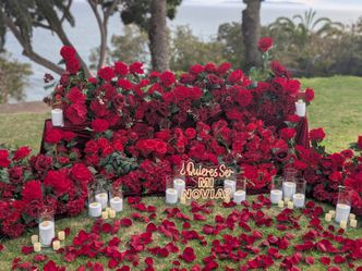 Proposal red flowers