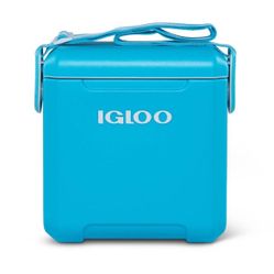 Igloo Personal Cooler