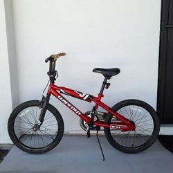 Kids Bicycle 20 Inches 