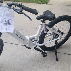 Electric bicycle 