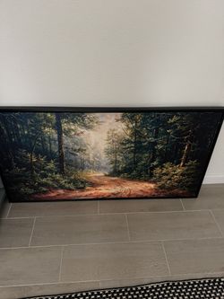 42 In Wide Picture