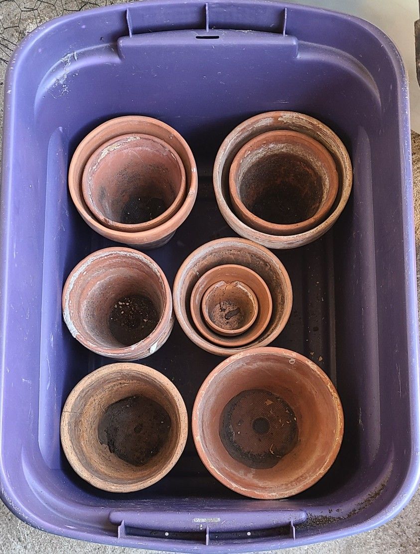 Terracotta Plant Pots (Can Deliver)