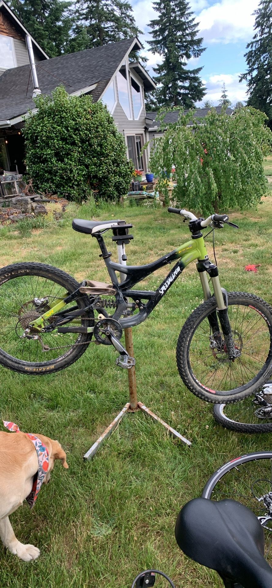 Mountain Bike