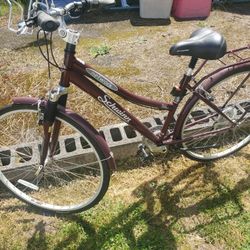 Bicycle
