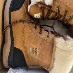 Uggs Boots 