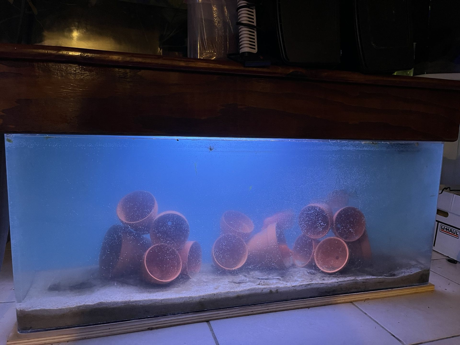 Complete Freshwater Aquarium Fish Tank 
