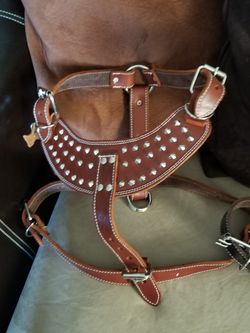 DOGS LEATHER HARNNES