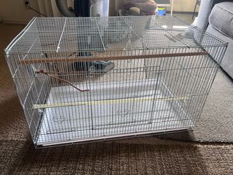Bird cage