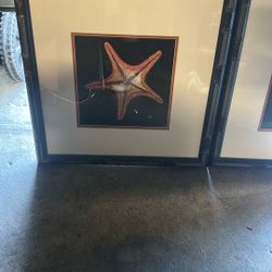 Framed Art