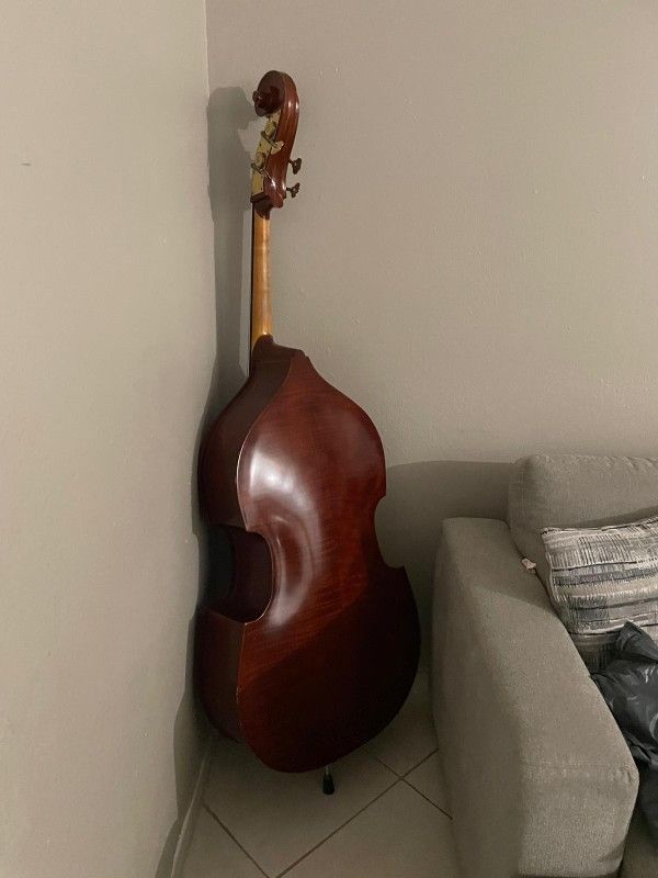 Bass Acustico
