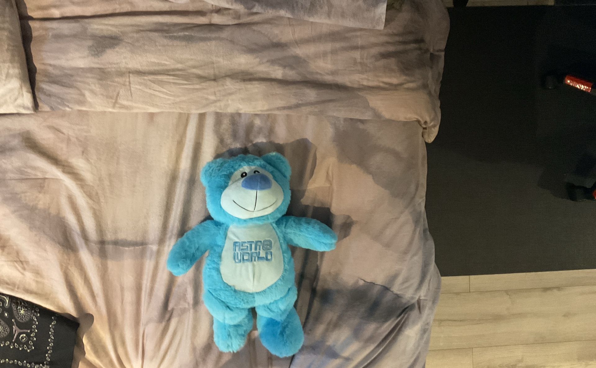 Astro World Teddy Bear 
