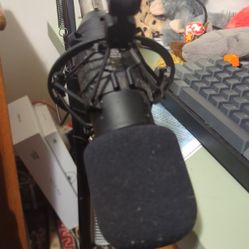 Microphone