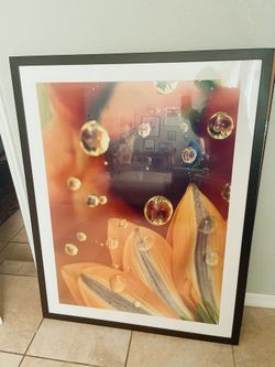 Flower Picture