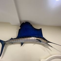 MARLIN SAILFISH FISH MOUNT 7 - 8 FT BEAUTIFUL WALL DECOR SAILFISH 