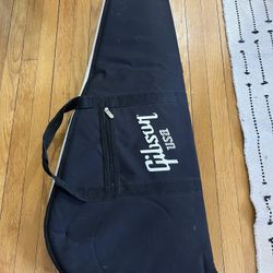 Guitar Case