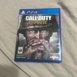 Call Of Duty WWII (PS4)