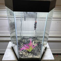 25 Gallon Aquarium Fish Tank Set