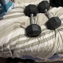 Set of Two 25 Pound Weights