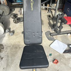 Weights/ Weight Bench