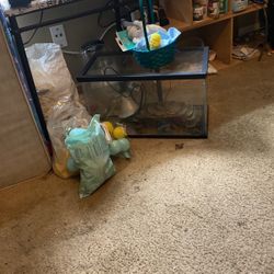 10 Gallon Fish Tank