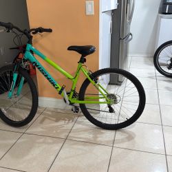 Bicycle 