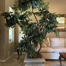 Beautiful 6ft+ Faux Plant 