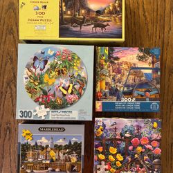 300-Piece Puzzles for Sale