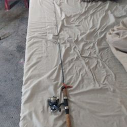 Beautiful Shakespeare Micro Spinning Rod