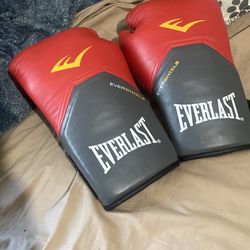 Everlast ever shield