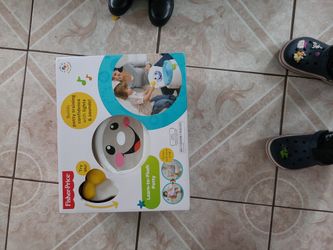 Learn To Flush Potty