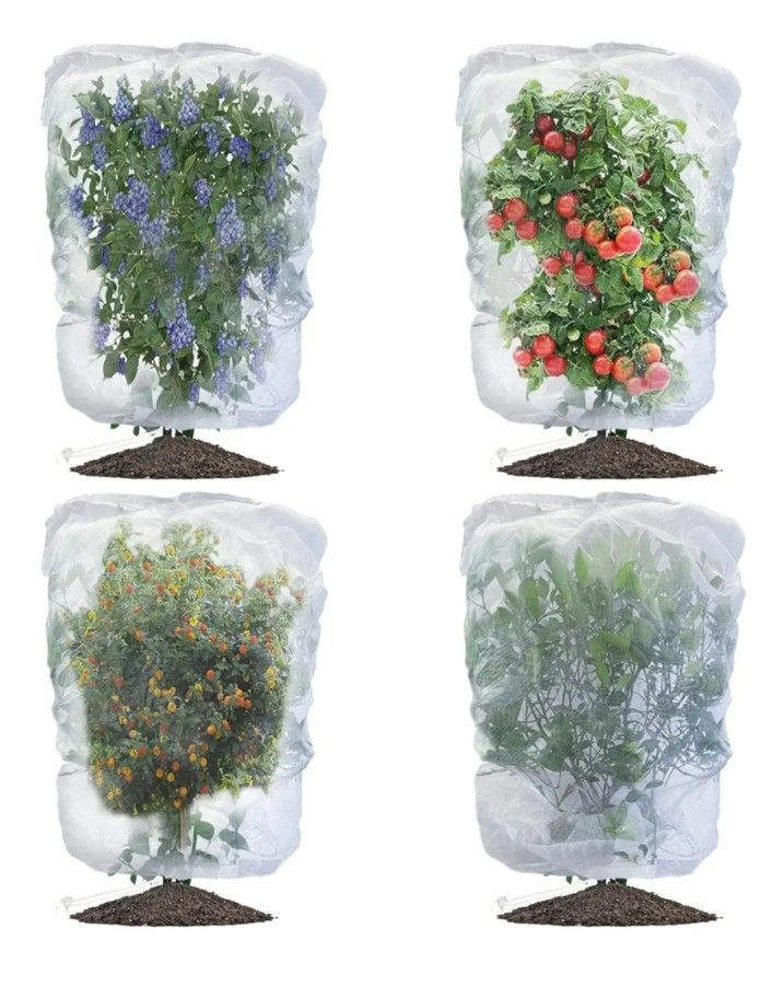 Bird netting and garden protection