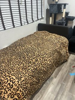 Single Upholstered Bed Frame And Mattress