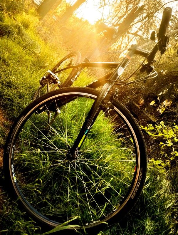 TREK w/700 Series