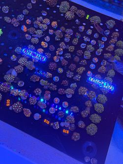 Aquarium decoration