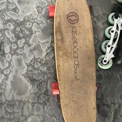 Long Board Skate Board 