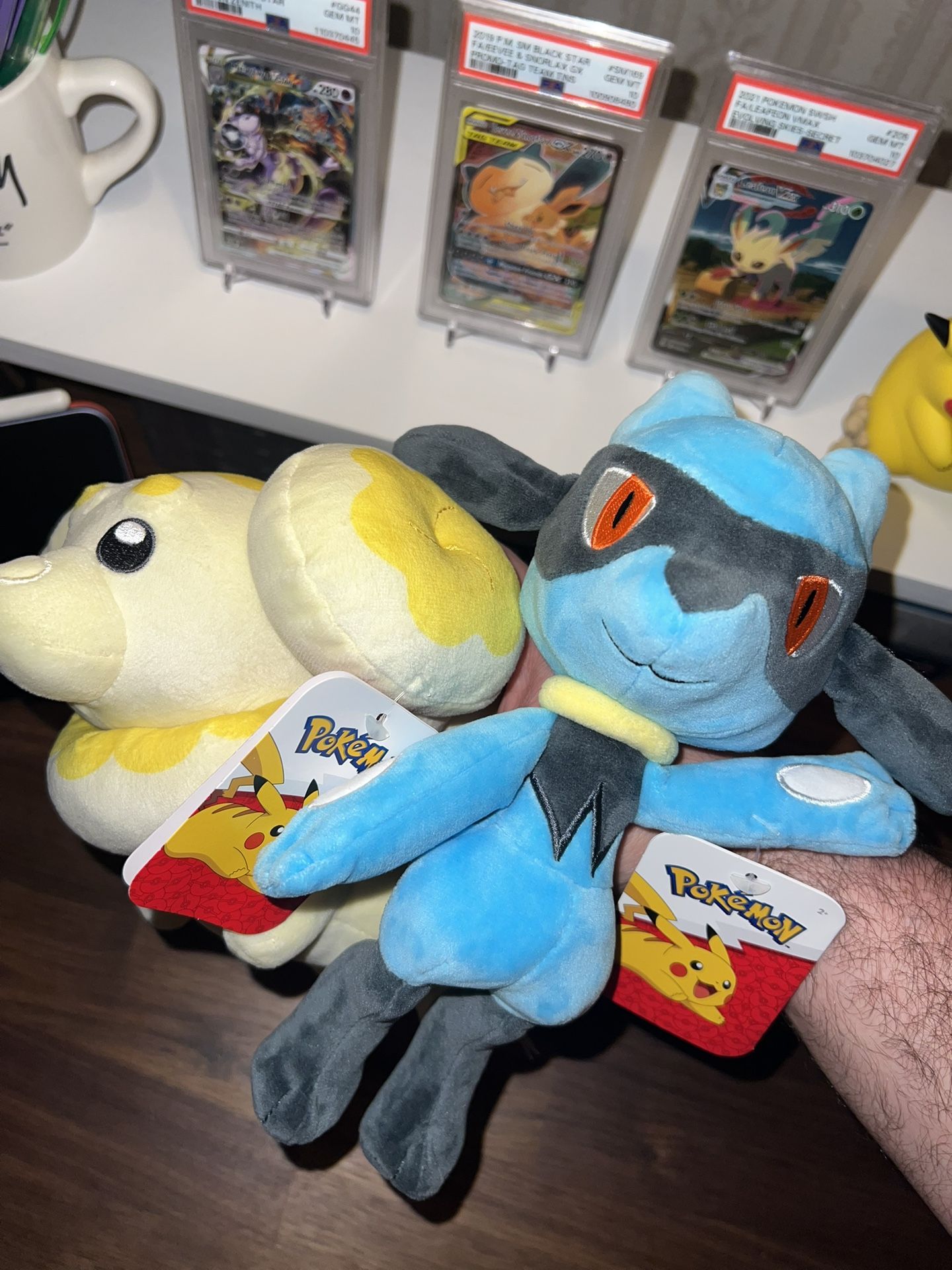 Pokémon Plushes