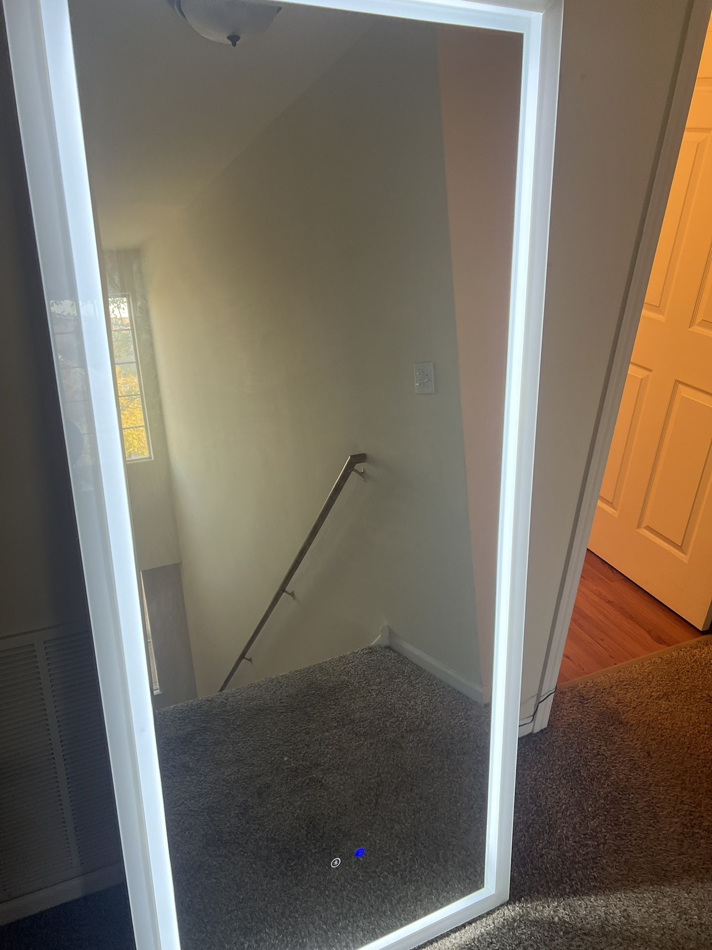 Full Body Mirror