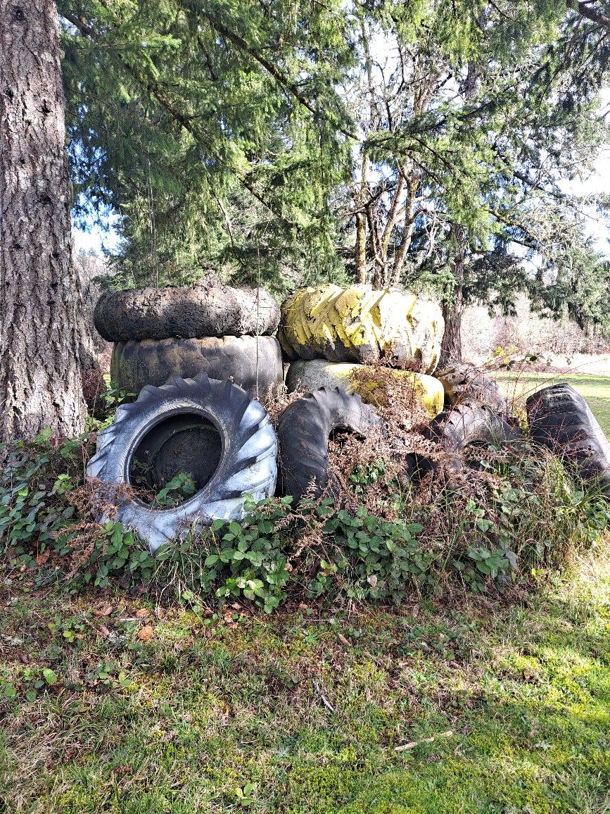 Free Goat Climbing Toys