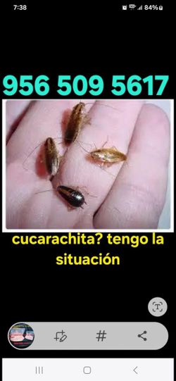 This product is only for people that have bought all kind of products from the store for roaches bed bugs and the situation keeps getting worse this g