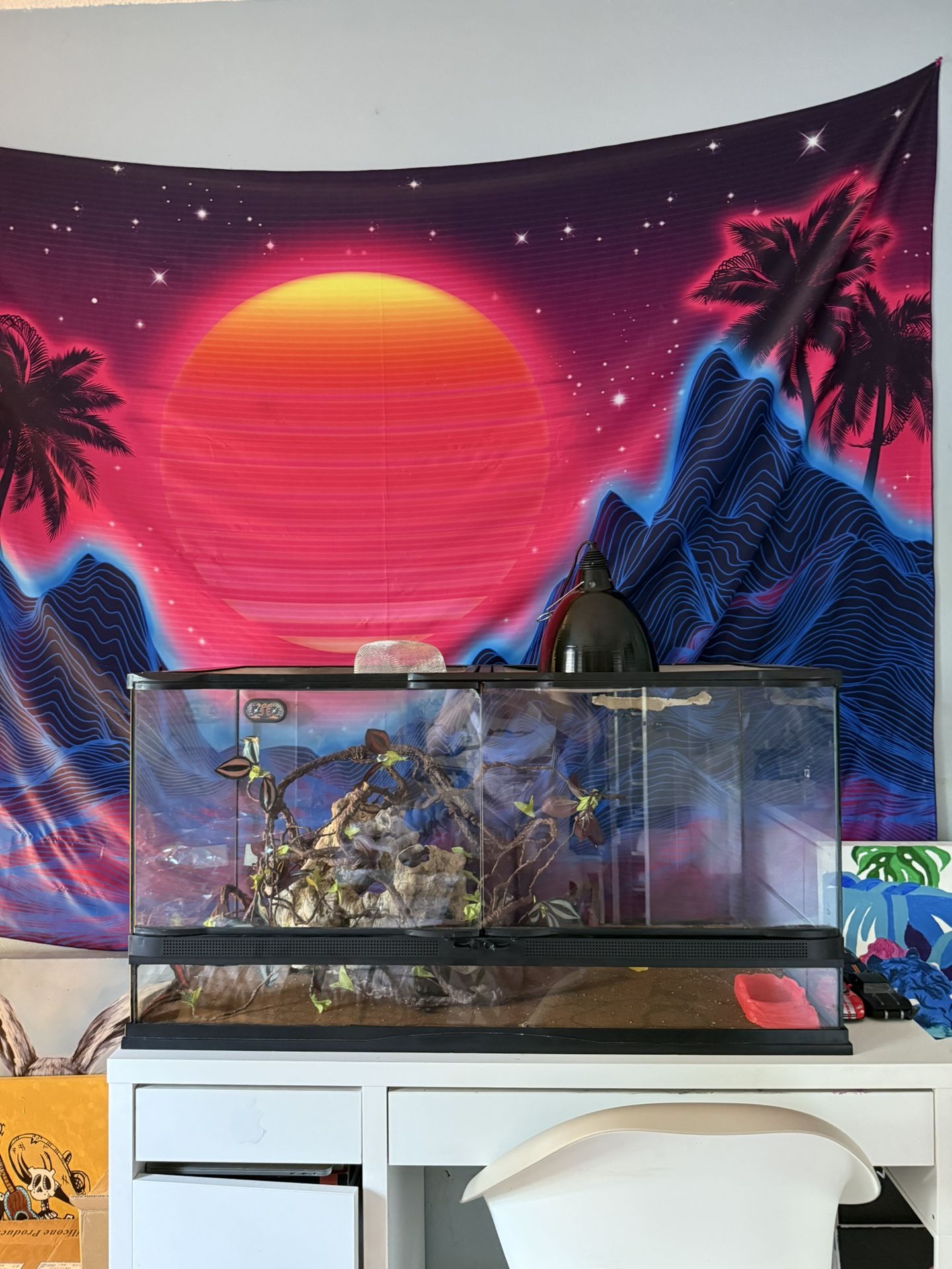 40 Gallon Tank - Front opening