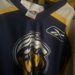 MINNESOTA SWARM  Jersey 