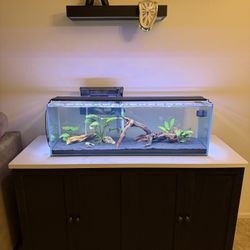 Lifegard 22 Gallon Bookshelf Aquarium