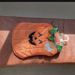 Puppy Costumes 🎃 Dog . Pet . 