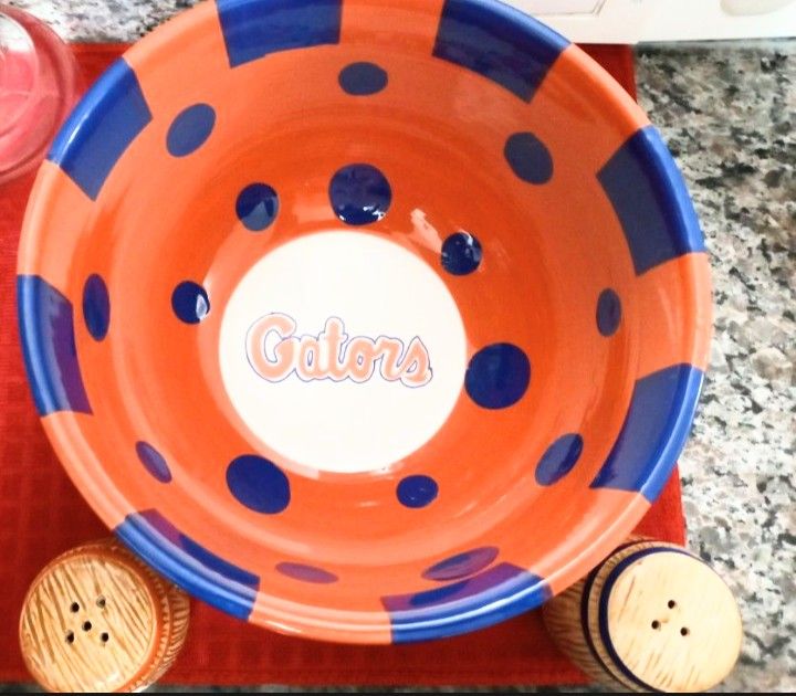 Florida Gators Accessories