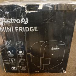 Astro Ai Mini Fridge  Heat Or Cool Fridge 