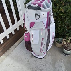Like New Cobra Cart Golf Bag