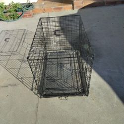 Dog 🦝 Cage Large