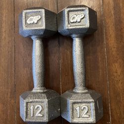 Hand Weight Workout Dumbbell Set Of 2, 12lbs