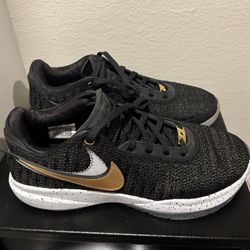 Nike LeBron Shoes Size 11