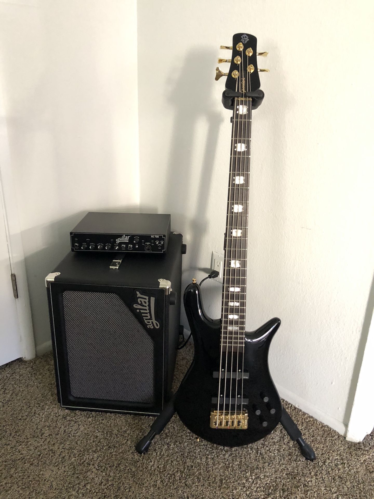Spector Euro 5 Classic Brand New
